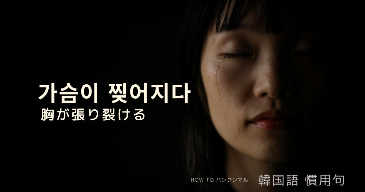 韓国語 [胸が張り裂ける] 가슴이 찢어지다 中級慣用句29